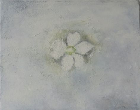 white anemone, 1999