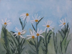 daisies, 2011